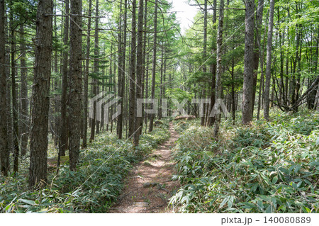 蓼科山の登山道(蓼科牧場ゴンドラ山頂駅〜七合目登山口) 蓼科山の登山道(蓼科牧場ゴンドラ山頂駅〜七合目登山口) 140080889