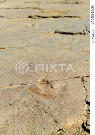 Authentic dinosaur footprint in stone in Spain 140081630