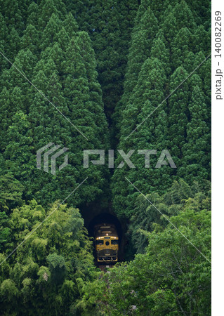 杉トンネルなの或る列車列車 杉トンネルなの或る列車列車 140082269