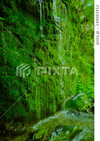 苔むした渓流 苔むした渓流 140083452