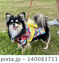 浴衣を着て笑顔を見せるポメチワの子犬 140083711