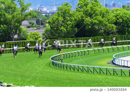 京都競馬場芝コース第一コーナー 京都競馬場芝コース第一コーナー 140083884