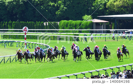 京都競馬場第四コーナー 京都競馬場第四コーナー 140084198