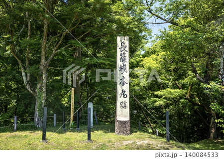 新城市、長篠城本丸跡 140084533