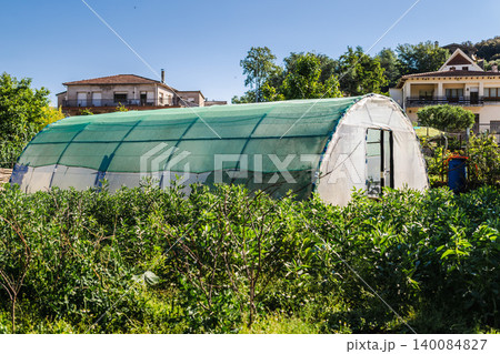 Greenhouse tunnel in community garden with vegetable crops and sustainable urban agriculture 140084827