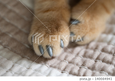 Soft plastic cat claws cover 140084941