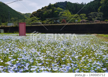 5月のネモフィラが咲いた北河内近くの線路 140085712