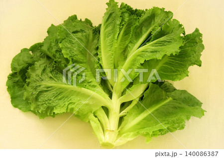 fresh lettuce on a white background fresh lettuce on a white background 140086387