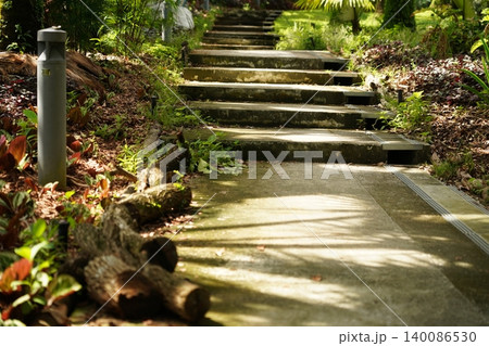 Sunlit Steps Path Through a Lush Garden Landscape Sunlit Steps Path Through a Lush Garden Landscape 140086530