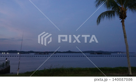 Tranquil Tropical Dusk by the Waters Edge with Palm Tree Tranquil Tropical Dusk by the Waters Edge with Palm Tree 140087086