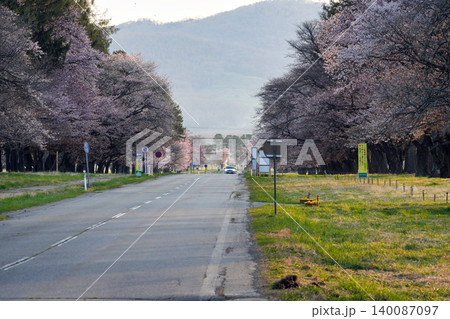 しずない桜まつり 140087097