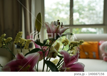 Beautiful Pink Lilies Blooming Indoors Beautiful Pink Lilies Blooming Indoors 140087156