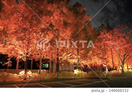 野木町煉瓦窯の紅葉 野木町煉瓦窯の紅葉 140088152