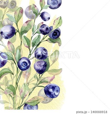 Border of bilberry branches with green leaves on yellow watercolor texture. Ripe blue fruit botanical drawing for label or packaging. Design edge frame of forest blueberry shrub plant copy space. Border of bilberry branches with green leaves on yellow watercolor texture. Ripe blue fruit botanical drawing for label or packaging. Design edge frame of forest blueberry shrub plant copy space. 140088918