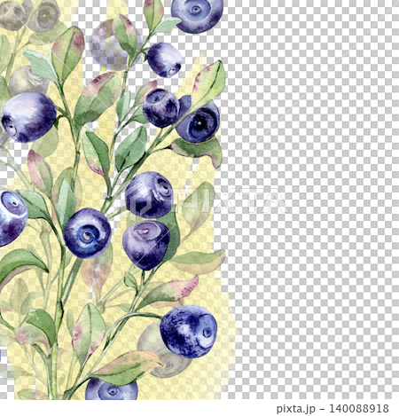 Border of bilberry branches with green leaves on yellow watercolor texture. Ripe blue fruit botanical drawing for label or packaging. Design edge frame of forest blueberry shrub plant copy space. Border of bilberry branches with green leaves on yellow watercolor texture. Ripe blue fruit botanical drawing for label or packaging. Design edge frame of forest blueberry shrub plant copy space. 140088918