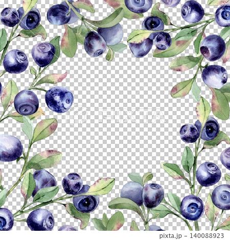 Blueberry on branches illustration hand drawn. Watercolor botanical fresh bilberry border with lush green leaf for design. Healthy organic fruit element for kitchen menu or packaging with empty space. Blueberry on branches illustration hand drawn. Watercolor botanical fresh bilberry border with lush green leaf for design. Healthy organic fruit element for kitchen menu or packaging with empty space. 140088923