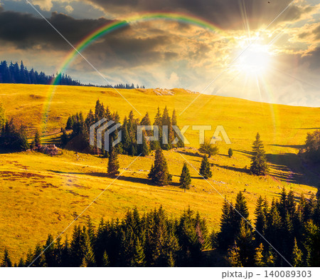 sunset over hillside of mountain range with coniferous forest and meadow under the rainbow. wonderful view of a grassy meadow on steep hill. nature background of apuseni natural park, romania sunset over hillside of mountain range with coniferous forest and meadow under the rainbow. wonderful view of a grassy meadow on steep hill. nature background of apuseni natural park, romania 140089303