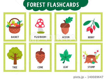 Vector forest flash cards set with basket, mushroom, tree, cone, acorn. English language game for kids. Woodland symbols flashcards. Simple nature educational printable worksheet with berry, leaf Vector forest flash cards set with basket, mushroom, tree, cone, acorn. English language game for kids. Woodland symbols flashcards. Simple nature educational printable worksheet with berry, leaf 140089647