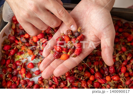superfood, dried red rosehip berries in man's hands for natural herbal medicine. healthy eating, vitamin-rich food, and homemade remedies for wellbeing. superfood, dried red rosehip berries in man's hands for natural herbal medicine. healthy eating, vitamin-rich food, and homemade remedies for wellbeing. 140090017
