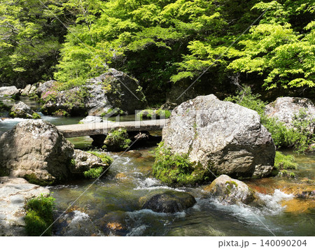 愛媛県内子町 小田深山渓谷の風景 愛媛県内子町 小田深山渓谷の風景 140090204