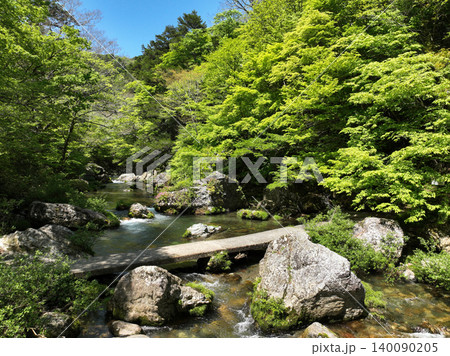愛媛県内子町　小田深山渓谷の風景 140090205