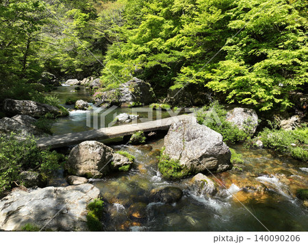 愛媛県内子町 小田深山渓谷の風景 愛媛県内子町 小田深山渓谷の風景 140090206