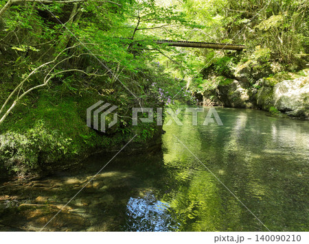 愛媛県内子町 小田深山渓谷の風景 愛媛県内子町 小田深山渓谷の風景 140090210