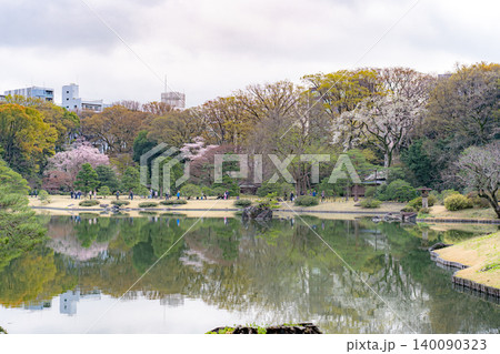 六義園の池に映る春の桜風景 140090323
