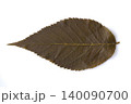 塩漬けの桜の葉 140090700