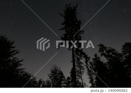 Starry Night Sky Above Dark Forest Trees Starry Night Sky Above Dark Forest Trees 140090862