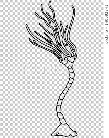 石炭紀のアブロトクリヌス(ウミユリ)のデフォルメイラスト 石炭紀のアブロトクリヌス(ウミユリ)のデフォルメイラスト 140092241