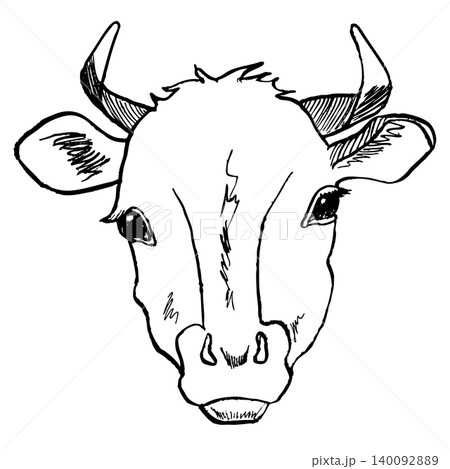 Cow head sketch hand drawn line art engraving. Farm animal vector illustration. For print design 140092889