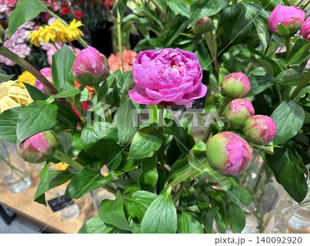 花 花 140092920