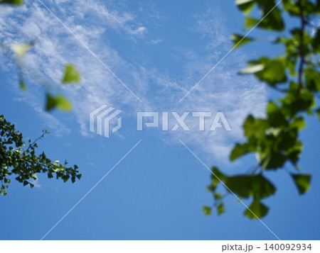 夏の空 140092934