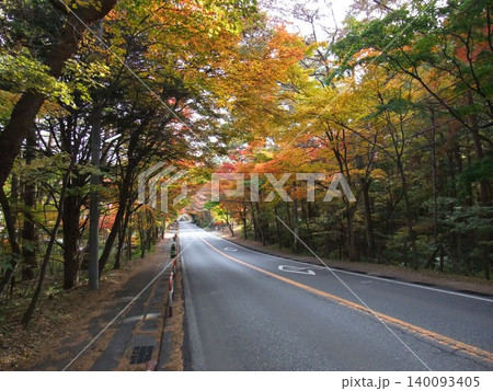 軽井沢町・国道146号の紅葉 140093405