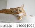 猫ちゃん親子の日常風景 140094004