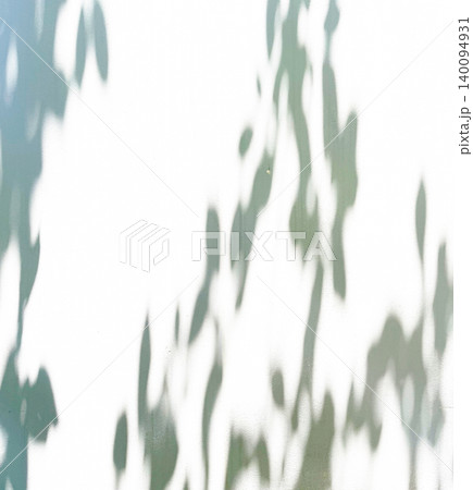 植物 影 光 日差し 木漏れ日 植物 影 光 日差し 木漏れ日 140094931