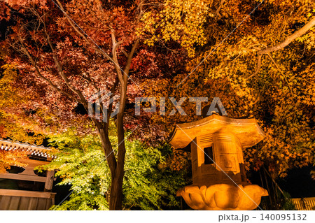 群馬 宝徳寺の紅葉 ライトアップ 群馬 宝徳寺の紅葉 ライトアップ 140095132