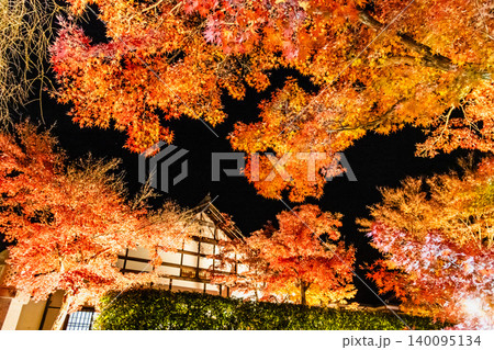 群馬 宝徳寺の紅葉　ライトアップ 140095134