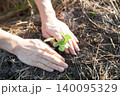 オクラの苗を植える 140095329