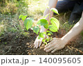 森に木を植える 140095605