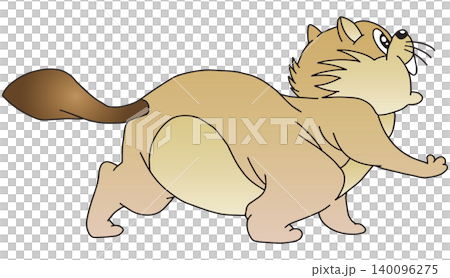 Hand-drawn animal illustration ☆ Beaver Hand-drawn animal illustration ☆ Beaver 140096275