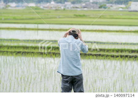 田んぼで落ち込む農家の後ろ姿 140097114
