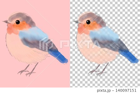 可愛、胖胖的小鳥手繪插畫素材(透明背景/PNG/JPEG) 可愛、胖胖的小鳥手繪插畫素材(透明背景/PNG/JPEG) 140097151