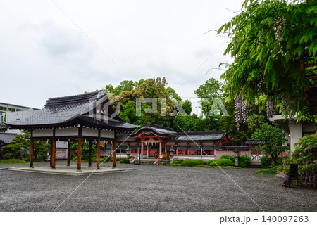 西院春日神社　六尺藤・御賜之藤 140097263