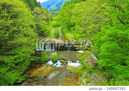 日光市湯西川栗山森林公園 日光市湯西川栗山森林公園 140097265