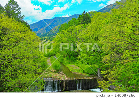 日光市湯西川栗山森林公園 140097266