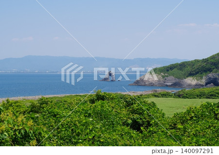 相島 猫 相島 猫 140097291