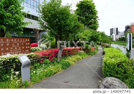 杜と水の都盛岡市 中津川（五月） 140097745
