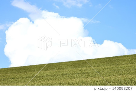 爽やかな風を感じる夏の北海道らしいシンプルな風景 爽やかな風を感じる夏の北海道らしいシンプルな風景 140098207